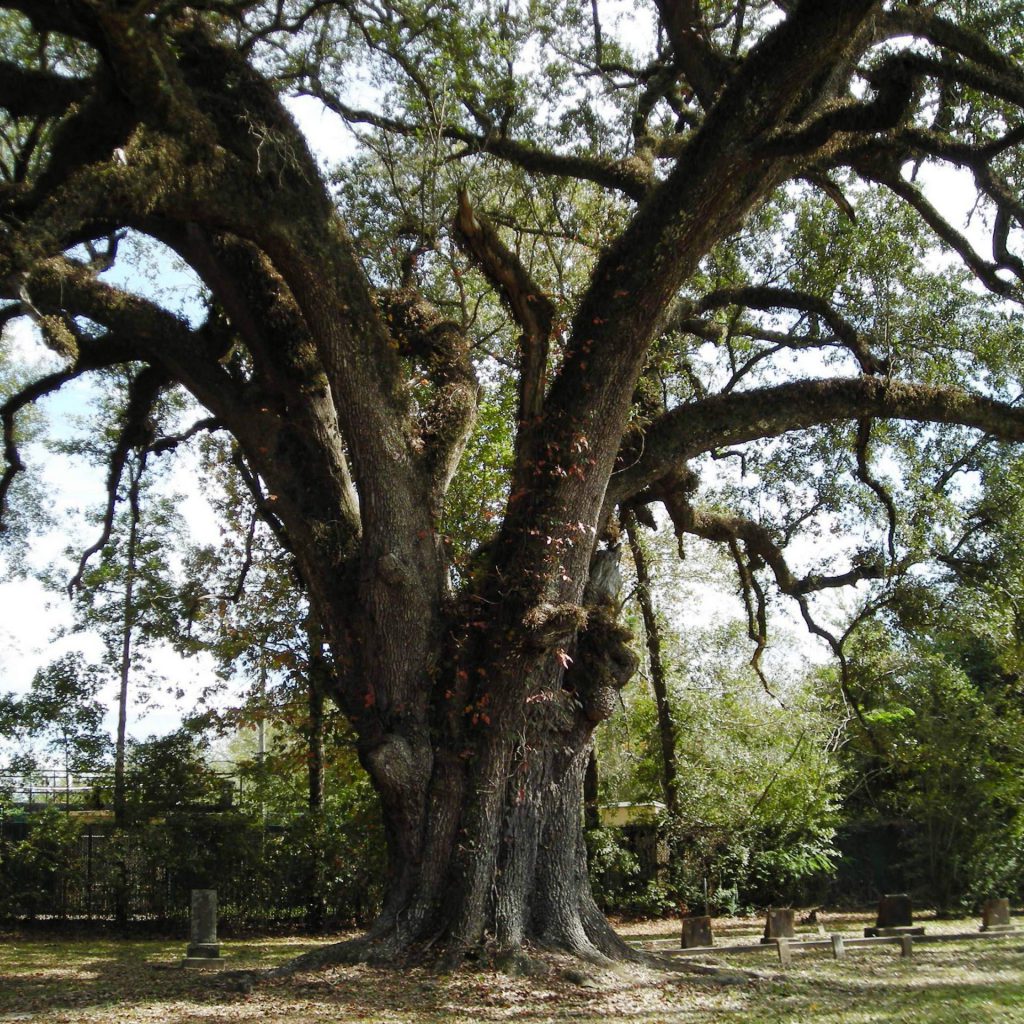 Ramsey Springs Cemetery